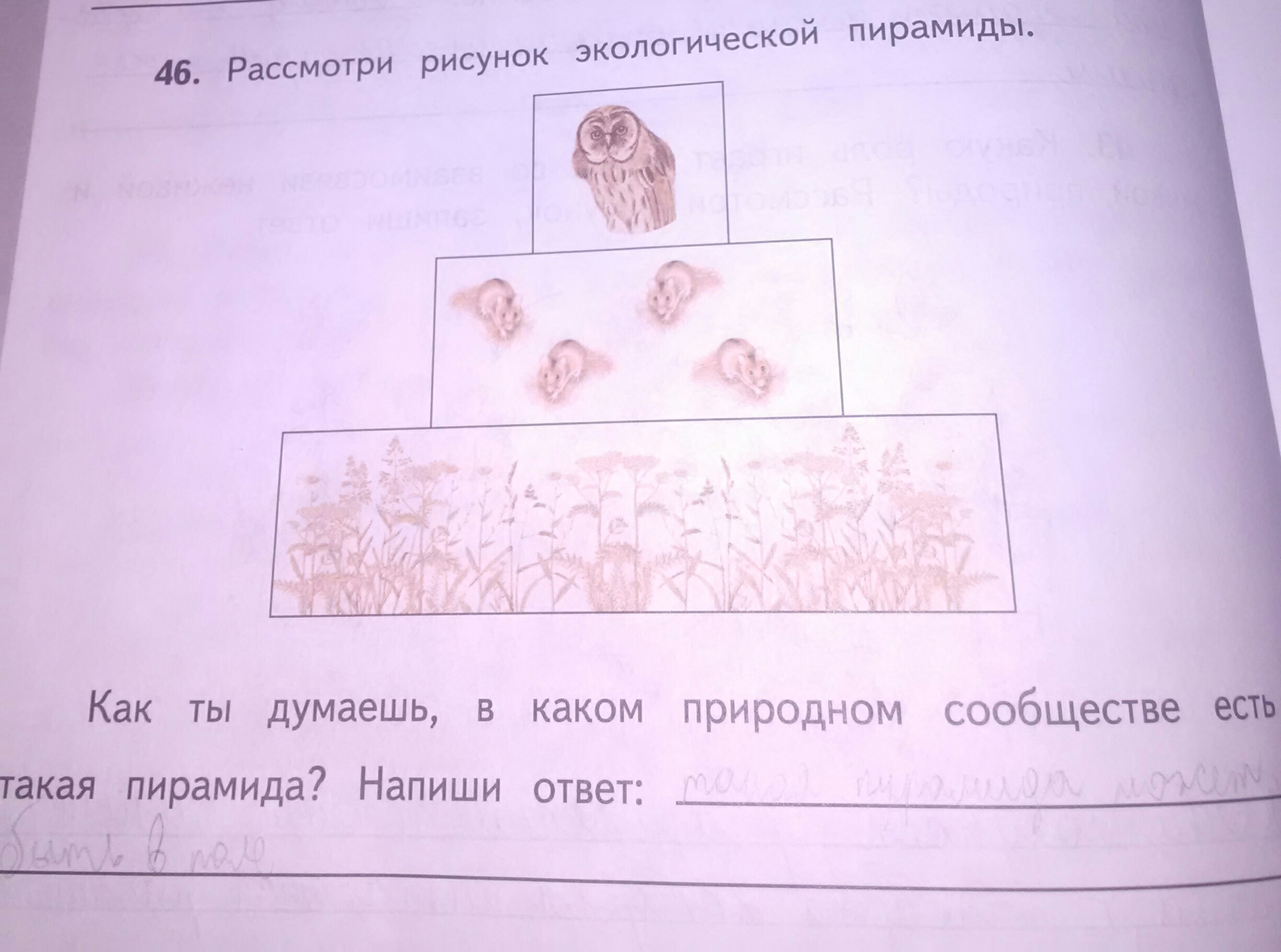 Рассмотрите Фотографию Для Иллюстрации Какой Формы