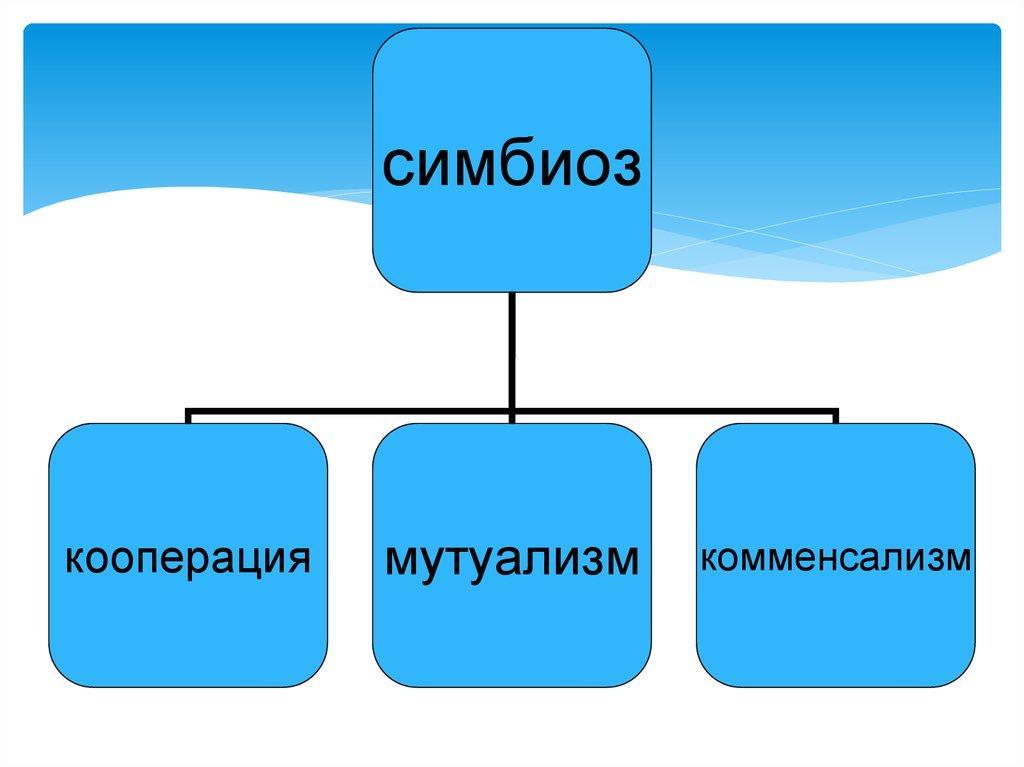 Симбиоз мутуализм кооперация. Симбиоз кооперация мутуализм комменсализм. Симбиоз мутуализм комменсализм. Симбиоз это в биологии.