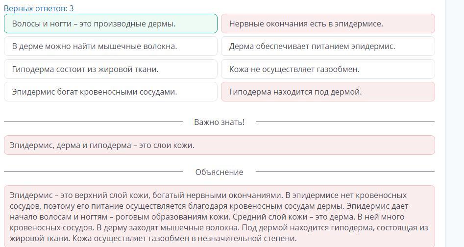 Выберите Неверное Утверждение Об Организме На Фотографии