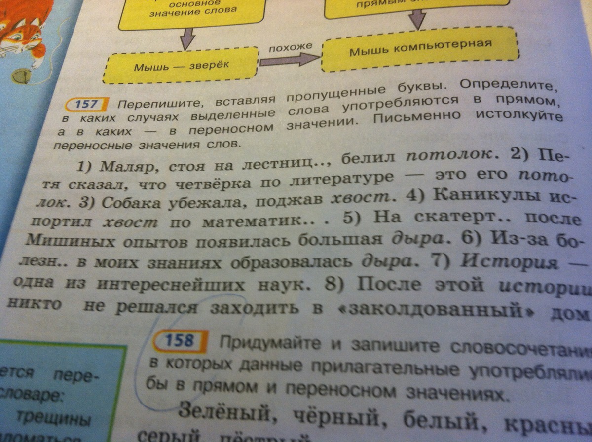 Слова в москве и петербурге. Врач значение слова и происхождение. Слова паразиты список. Использование заимствованных слов. Слова в москве и петербурге.